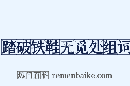 踏破铁鞋无觅处组词是什么意思的图片
